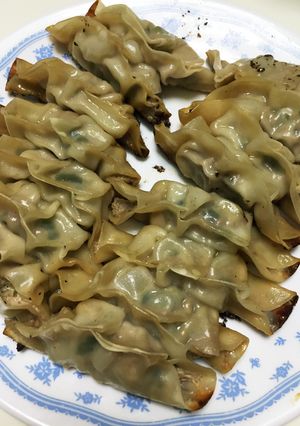 手作り餃子-レシピのメイン写真