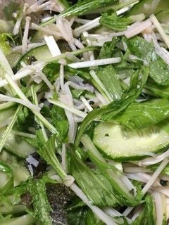 シャキシャキ水菜の和風サラダ-レシピのメイン写真