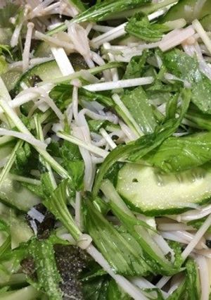 シャキシャキ水菜の和風サラダ-レシピのメイン写真