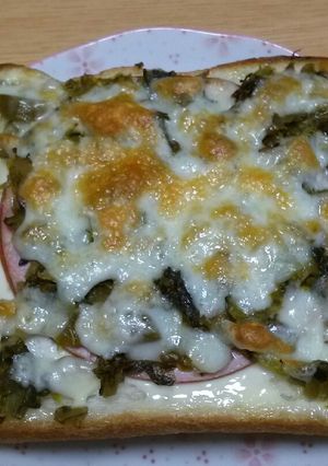高菜パン-レシピのメイン写真