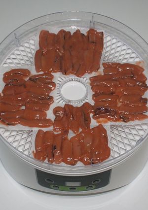 簡単おつまみ☆食品乾燥機で乾燥イカの塩辛-レシピのメイン写真