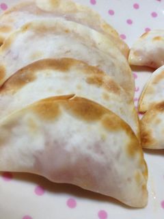 イタリアン風ギョウザ-レシピのメイン写真