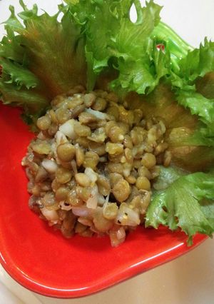 レンズ豆のサラダ-レシピのメイン写真