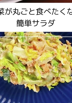 白菜が丸ごと食べたくなる♪簡単サラダ♪-レシピのメイン写真