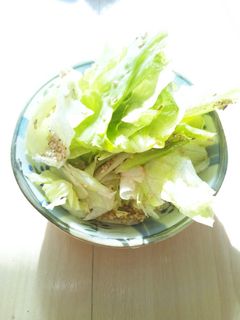 レタスもりもりサラダ-レシピのメイン写真