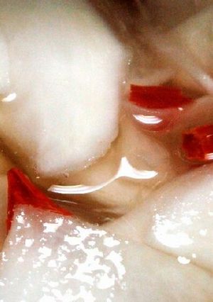 昔ながらの☆千枚漬け(一夜漬け)-レシピのメイン写真