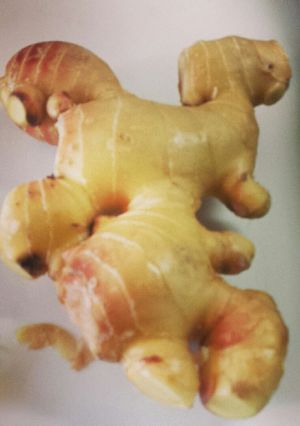 世界一冷え性さん！の生姜生活ベース1-レシピのメイン写真