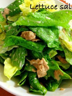 レタスの醤油マヨサラダ☆-レシピのメイン写真