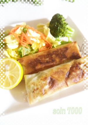 節約★半端野菜のツナ春巻き-レシピのメイン写真