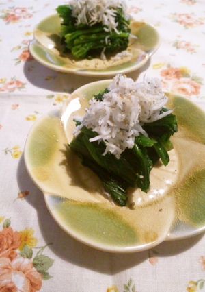 ☆ほうれん草のシラス胡麻かけ☆-レシピのメイン写真