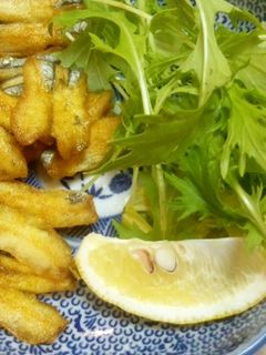 きびなごのカレー唐揚げ-レシピのメイン写真
