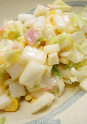 手作りソースで白菜のコールスローサラダ-レシピのメイン写真