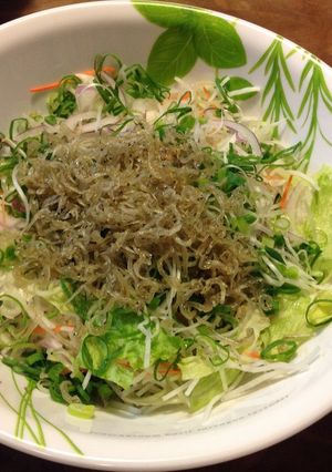ちりめんじゃことたっぷり青ねぎのサラダ-レシピのメイン写真