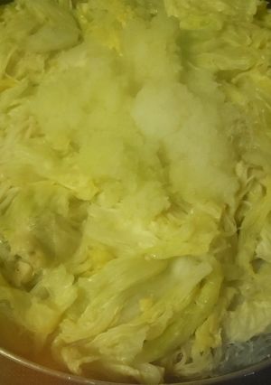 細切り白菜と豚肉の重ね蒸し鍋-レシピのメイン写真