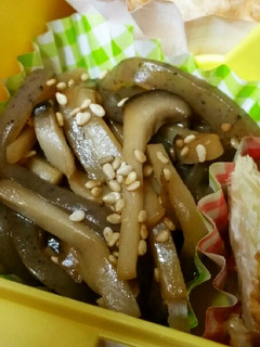 お弁当 こんにゃくとエリンギのきんぴら-レシピのメイン写真