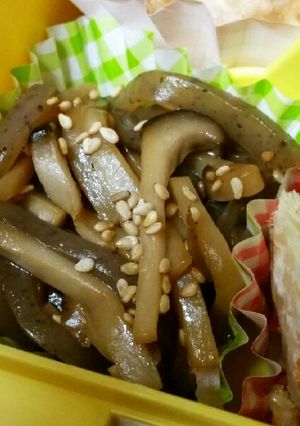 お弁当 こんにゃくとエリンギのきんぴら-レシピのメイン写真