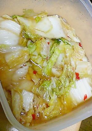 白菜のチリ浅漬け-レシピのメイン写真