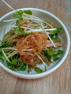 塩クラゲとカイワレの中華合え-レシピのメイン写真