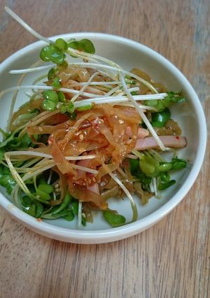 塩クラゲとカイワレの中華合え-レシピのメイン写真