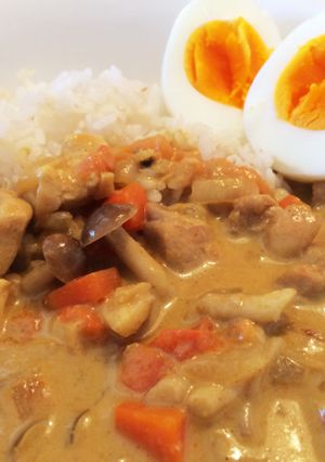 市販のペースト無しでタイ風イエローカレー-レシピのメイン写真