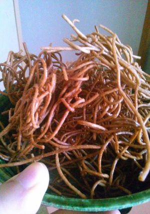 カリカリ香ばしい！蕎麦チップ！-レシピのメイン写真