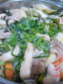 ネギ野菜たっぷり煮込みうどん-レシピのメイン写真