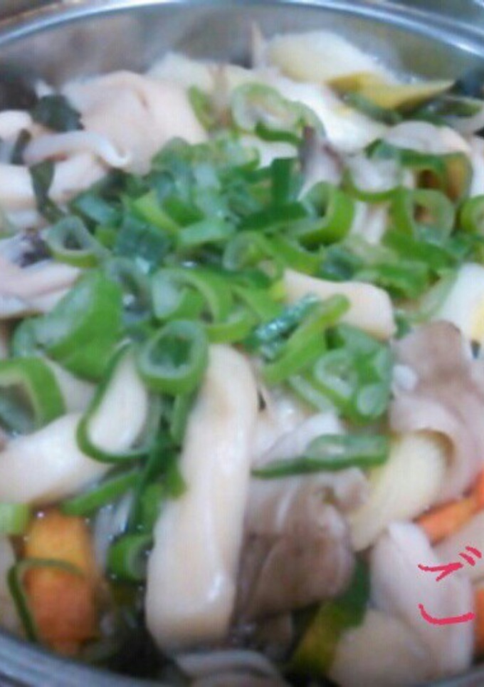 ネギ野菜たっぷり煮込みうどん-レシピのメイン写真
