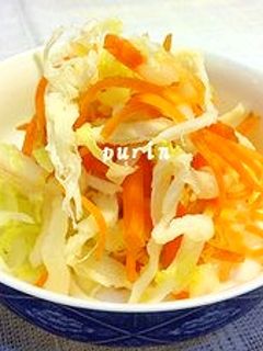 ソフトさきいか入り白菜の浅漬け-レシピのメイン写真