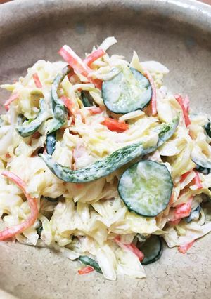 野菜イロイロ、シーチキンコールスロー-レシピのメイン写真
