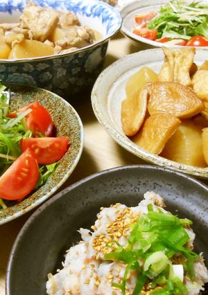大根とさつま揚げ・厚揚げの煮物-レシピのメイン写真