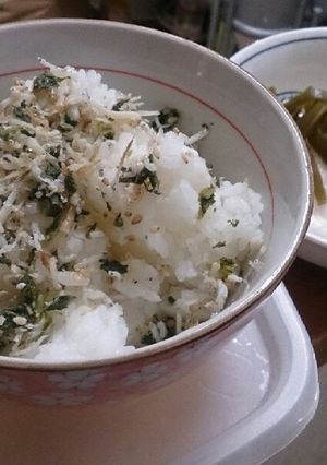 しらすと大根の葉っぱで手作りふりかけ☆-レシピのメイン写真