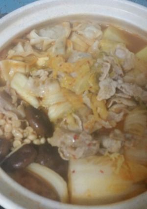 豚肉とギョーザのキムチ風鍋-レシピのメイン写真