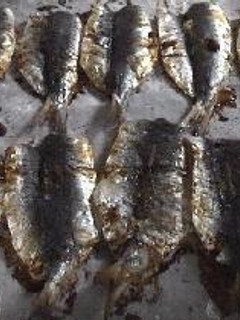 超簡単!イワシの生姜焼き-レシピのメイン写真