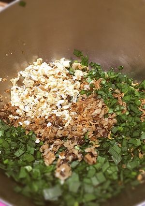 ヘルシー!アリスの水餃子【野菜あん】-レシピのメイン写真