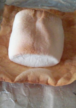 簡単ワンタンマシュマロ-レシピのメイン写真