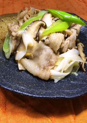 豚バラ肉とネギの炒め物-レシピのメイン写真