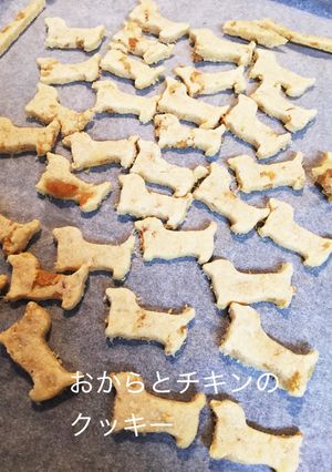 おからと鶏胸肉のわんこクッキー-レシピのメイン写真