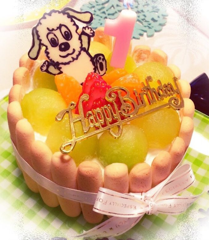 洋書 ニュージーランド ケーキ レシピ kid's birthday 英語 洋書 ニュージーランド ケーキ レシピ kid´s birthday 英語 本
