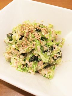 簡単キャベツとツナワカメめんマヨサラダ-レシピのメイン写真
