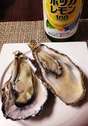 殻付きの牡蠣☆簡単に美味しく食べよう♪-レシピのメイン写真
