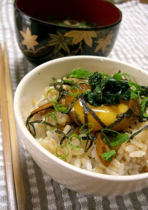 卵黄の大葉にんにく醤油漬け(卵かけご飯)-レシピのメイン写真
