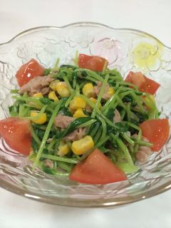 トマトで鮮やかに☆ツナと豆苗のサラダ-レシピのメイン写真