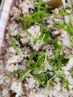 梅しらすご飯-レシピのメイン写真