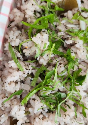 梅しらすご飯-レシピのメイン写真