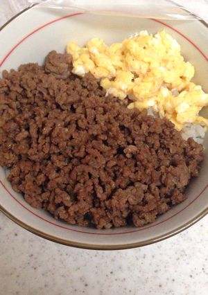そぼろごはん-レシピのメイン写真