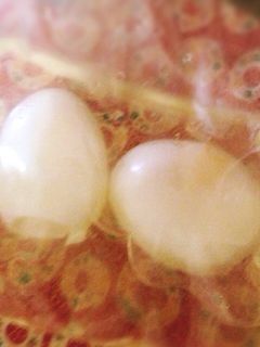 材料二つ!簡単!たまごのピクルス-レシピのメイン写真