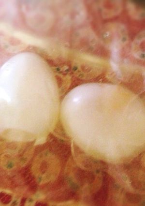 材料二つ!簡単!たまごのピクルス-レシピのメイン写真