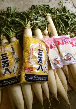 社長直伝!!美味しい沢庵の漬け方-レシピのメイン写真