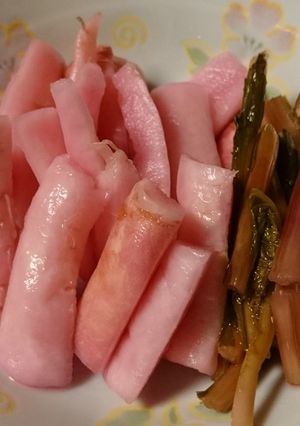 日野菜のえび漬け(甘酢漬け)-レシピのメイン写真
