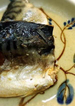 塩サバフィレで酒煮-レシピのメイン写真
